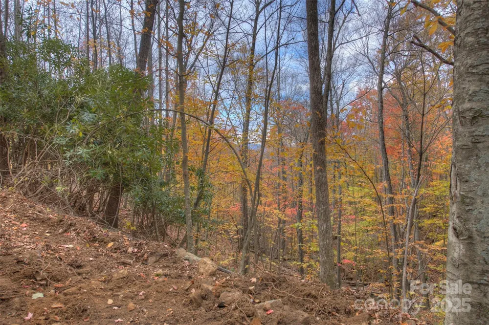 0 Pebble Ridge Road Spruce Pine, NC 28777