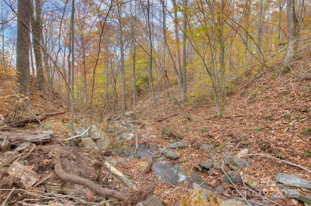0 Pebble Ridge Road Spruce Pine, NC 28777