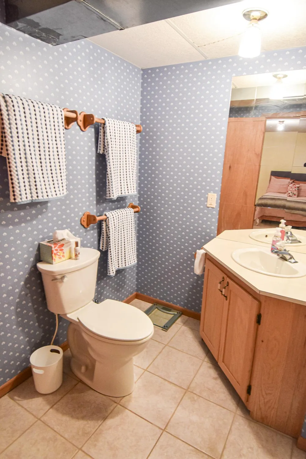 808 Alice Drive Thief River Falls, MN 56701