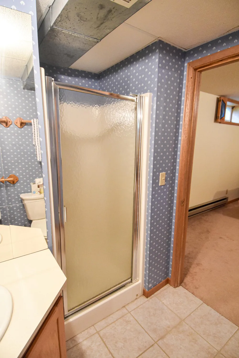 808 Alice Drive Thief River Falls, MN 56701