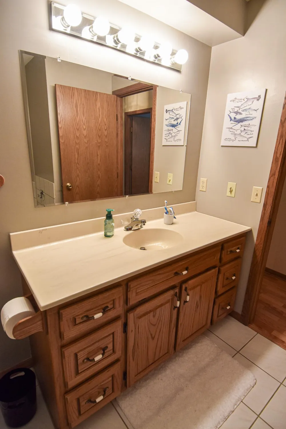 808 Alice Drive Thief River Falls, MN 56701