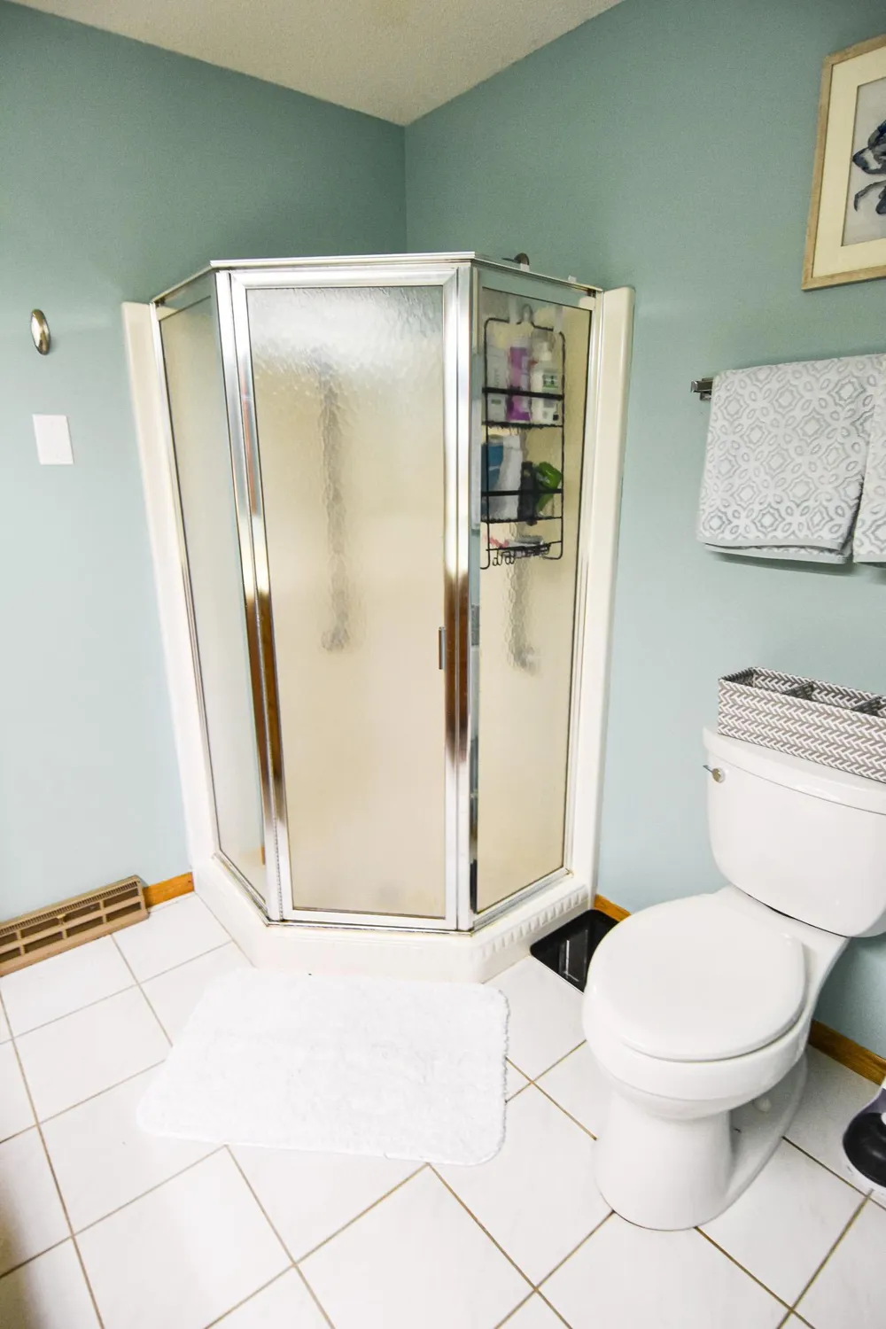 808 Alice Drive Thief River Falls, MN 56701