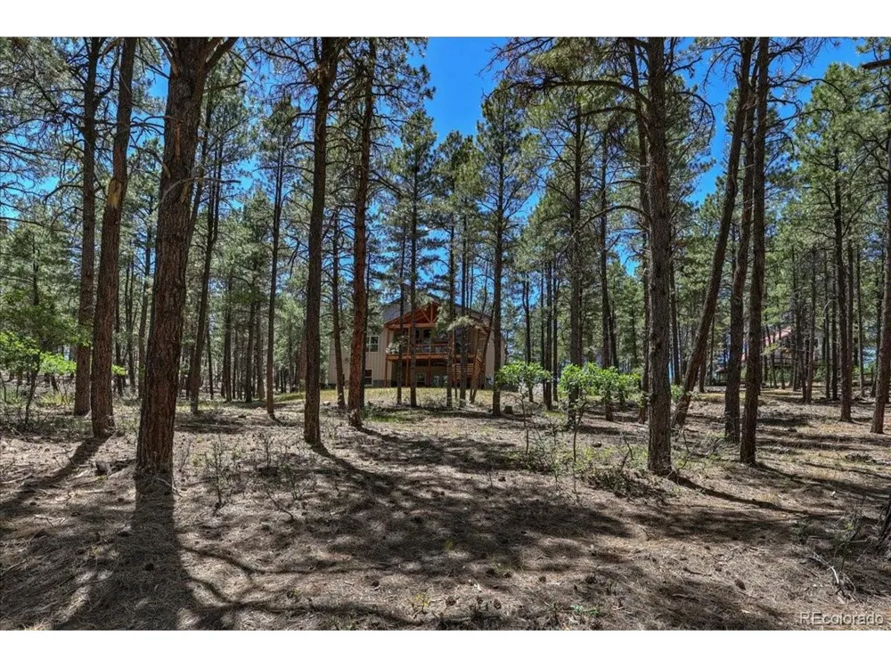 30 Moffat Court Pagosa Springs, CO 81147