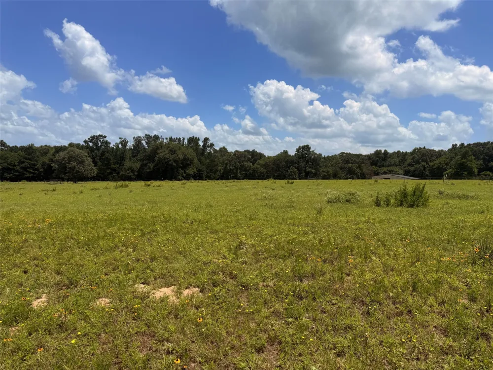 5767 Fm 2339 Murchison, TX 75778