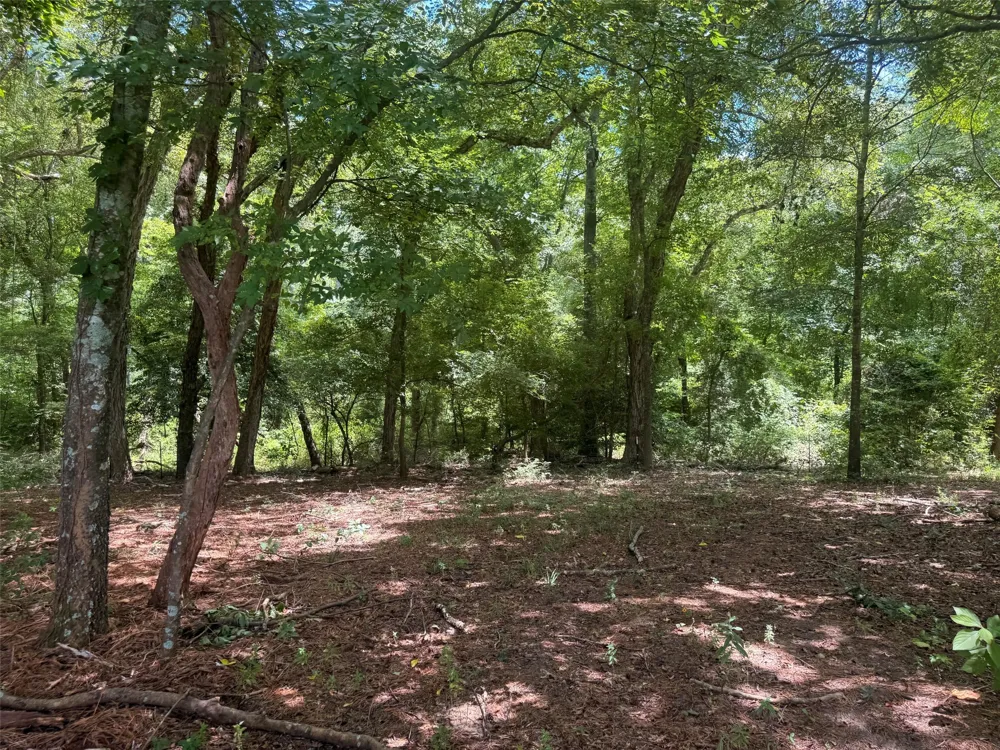5767 Fm 2339 Murchison, TX 75778
