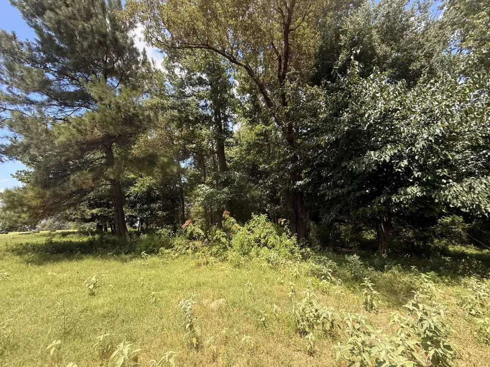 5767 Fm 2339 Murchison, TX 75778