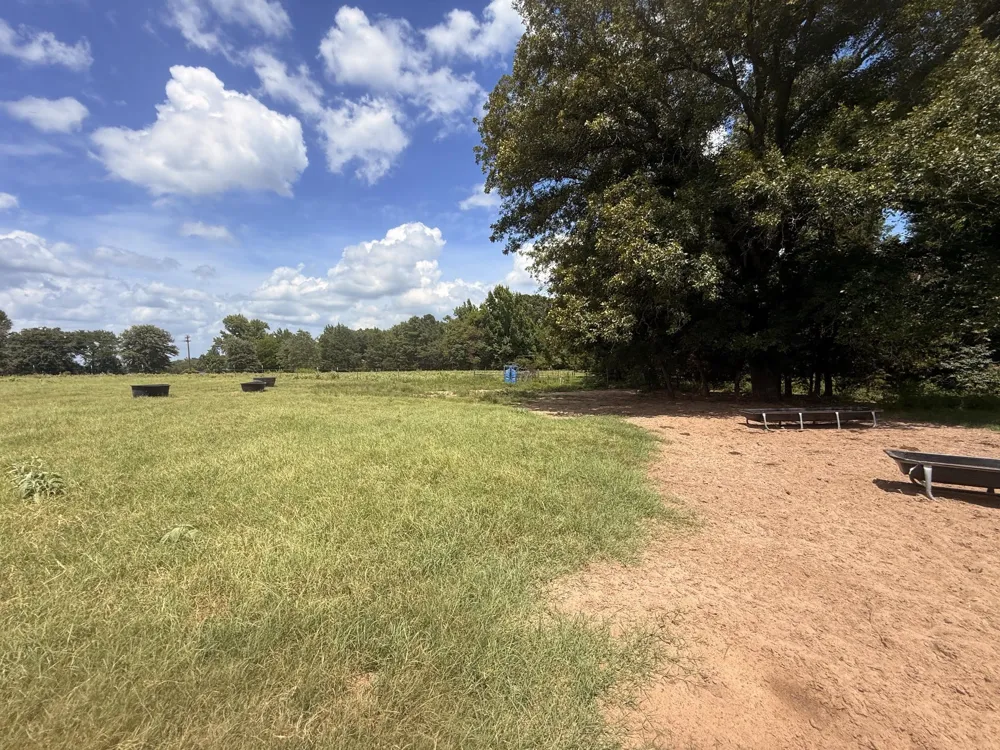 5767 Fm 2339 Murchison, TX 75778