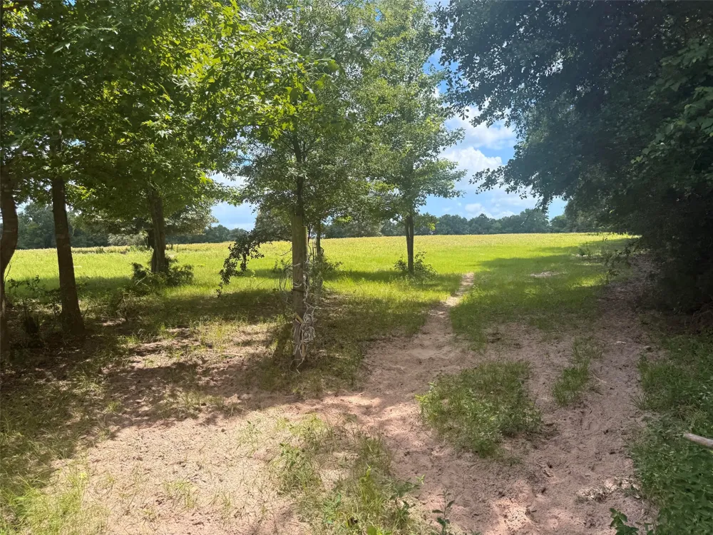 5767 Fm 2339 Murchison, TX 75778