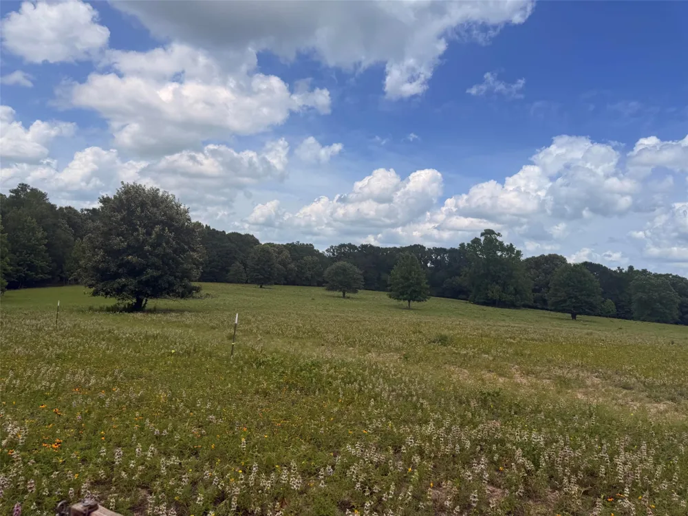5767 Fm 2339 Murchison, TX 75778