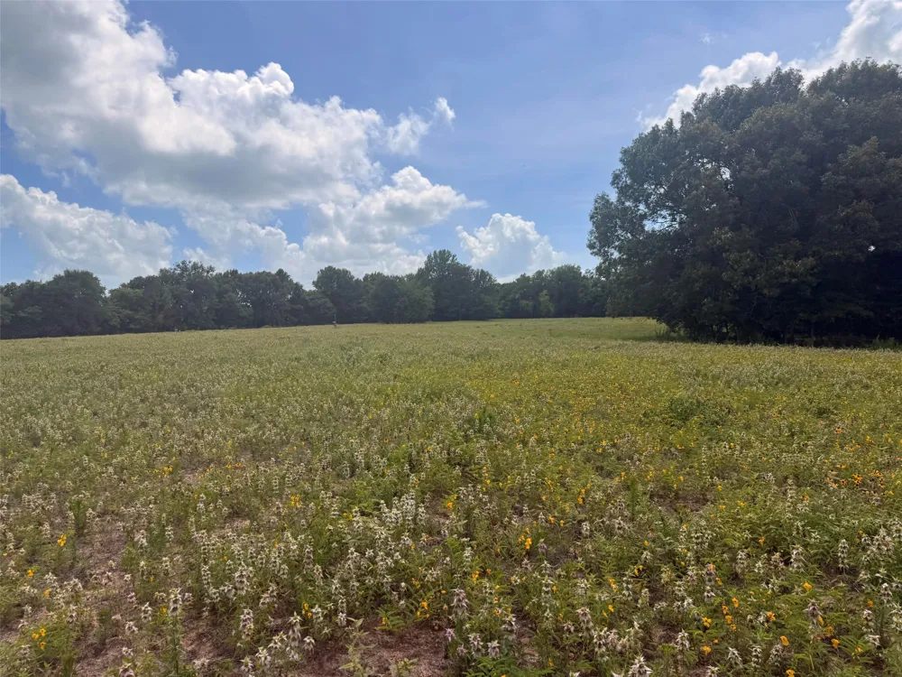 5767 Fm 2339 Murchison, TX 75778