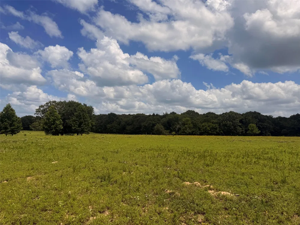 5767 Fm 2339 Murchison, TX 75778