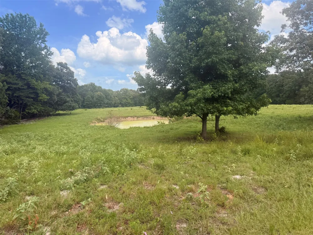 5767 Fm 2339 Murchison, TX 75778