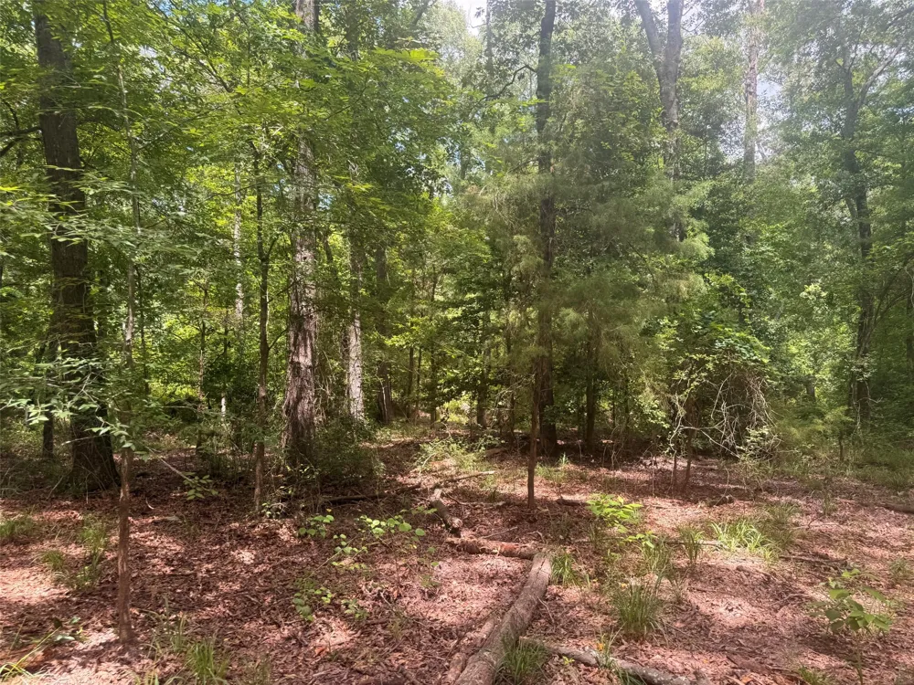 5767 Fm 2339 Murchison, TX 75778