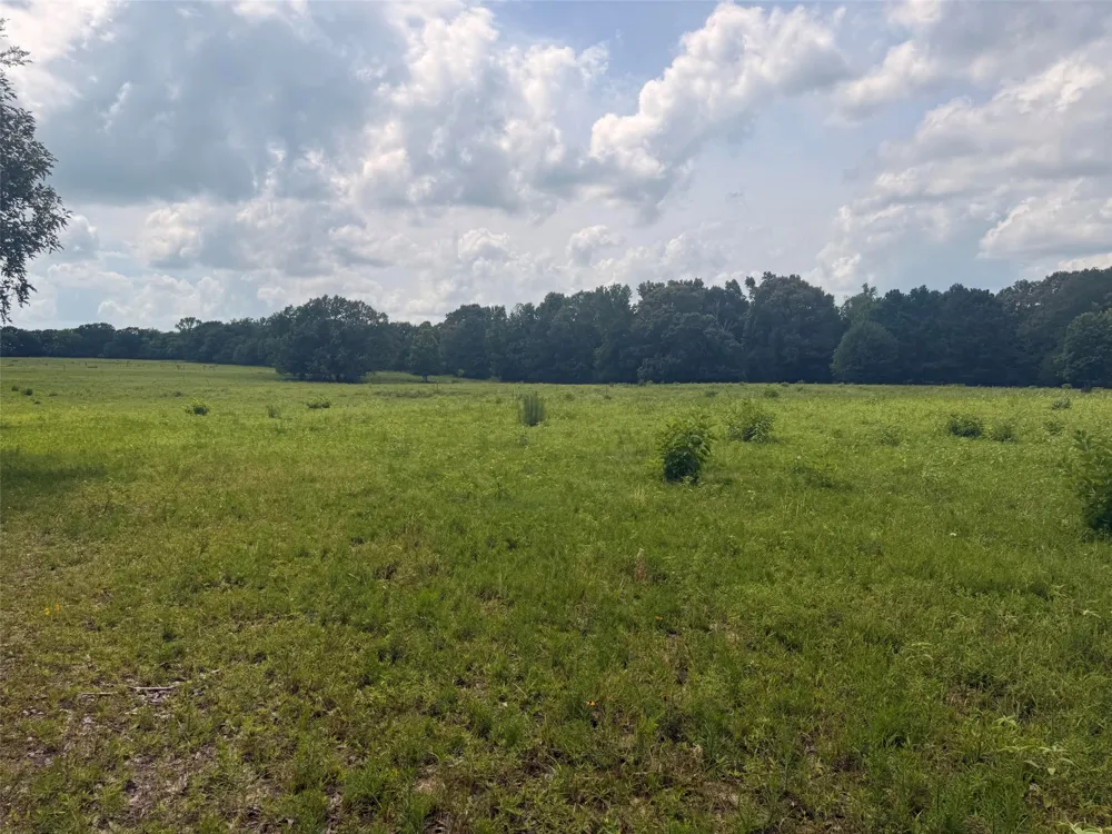 5767 Fm 2339 Murchison, TX 75778