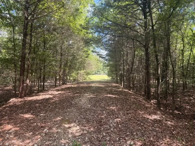 5767 Fm 2339 Murchison, TX 75778