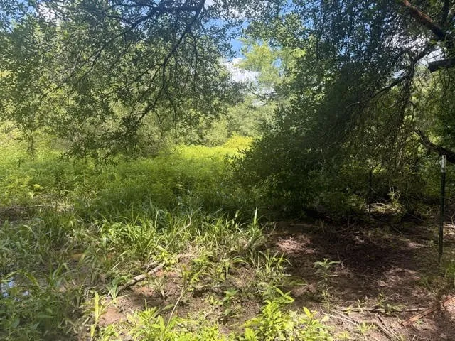 5767 Fm 2339 Murchison, TX 75778