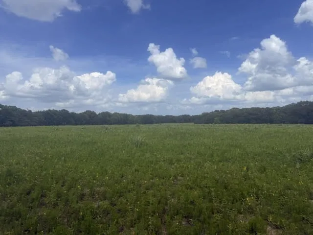 5767 Fm 2339 Murchison, TX 75778