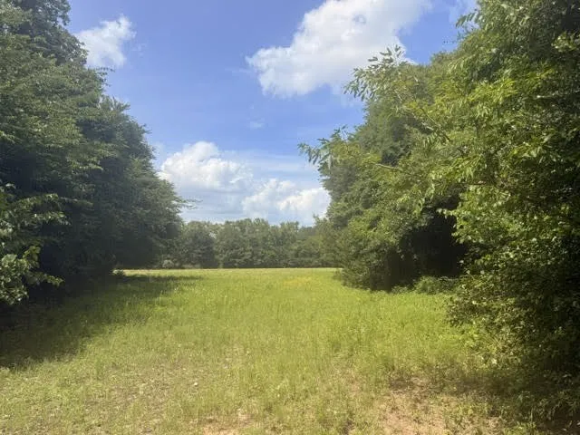 5767 Fm 2339 Murchison, TX 75778