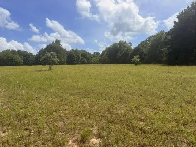 5767 Fm 2339 Murchison, TX 75778