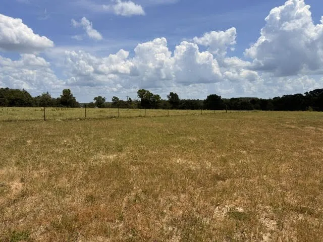 5767 Fm 2339 Murchison, TX 75778