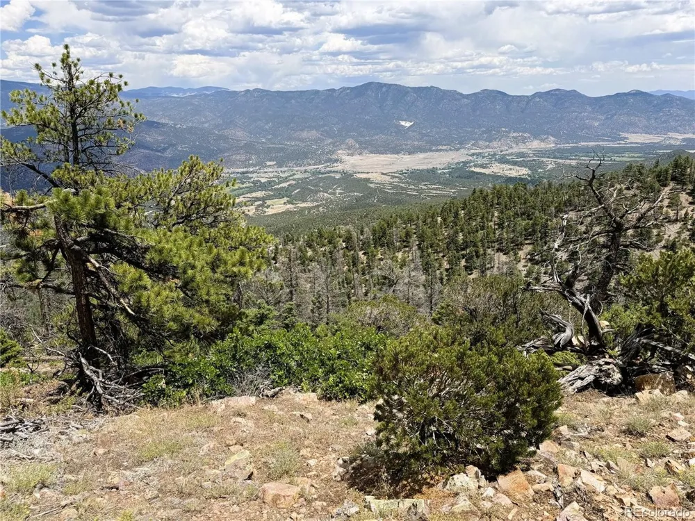54 Knotty Pine Road Howard, CO 81233