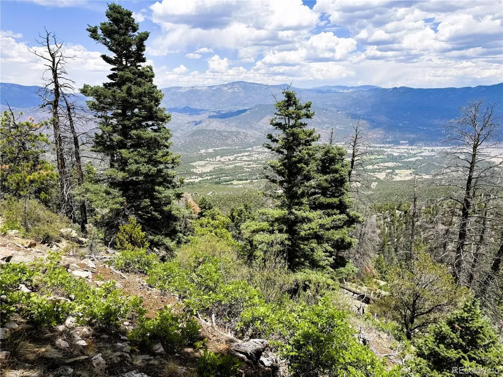 54 Knotty Pine Road Howard, CO 81233
