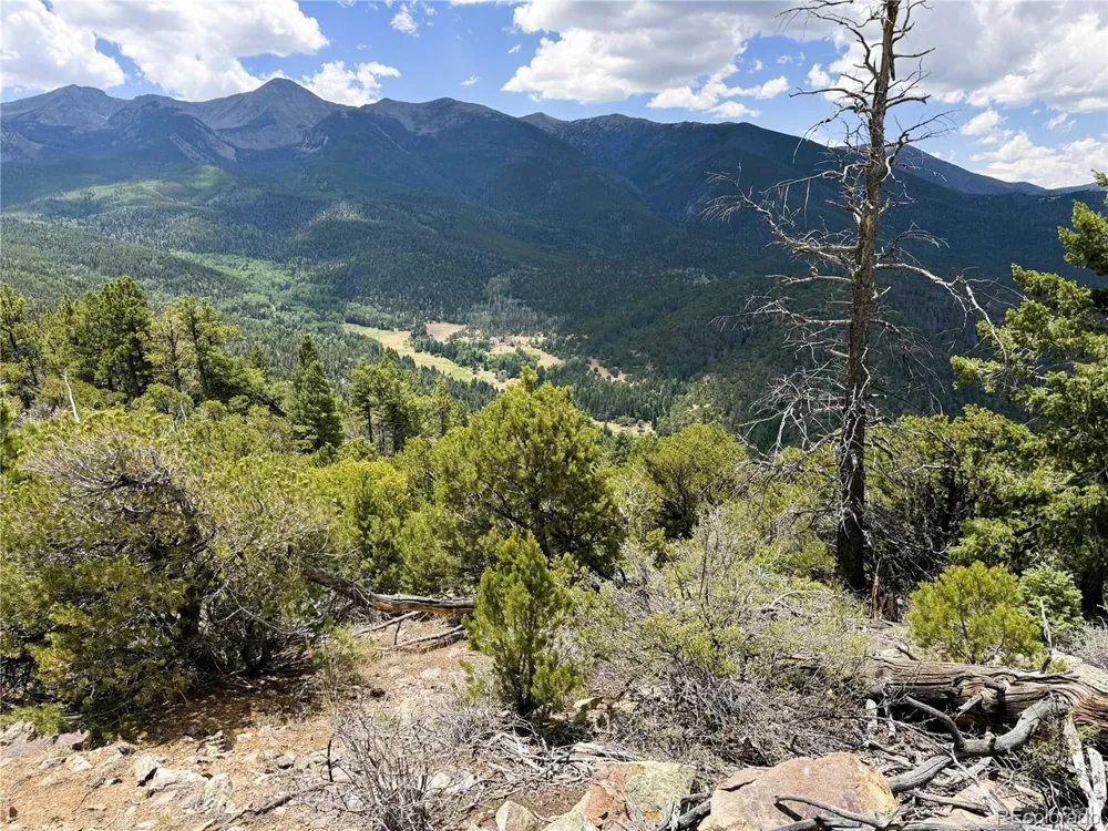 54 Knotty Pine Road Howard, CO 81233