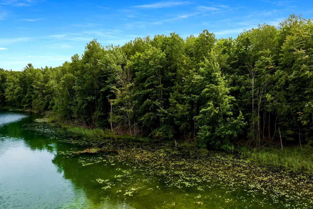 Pettengill Road Almira Township, MI 49630