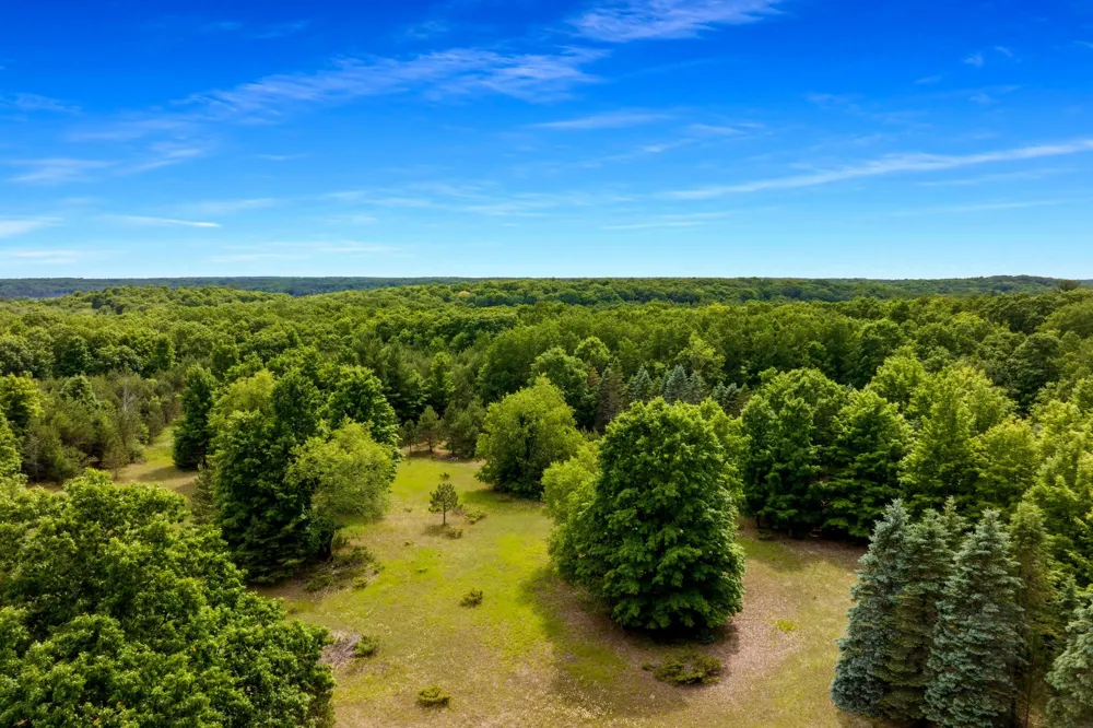 Pettengill Road Almira Township, MI 49630