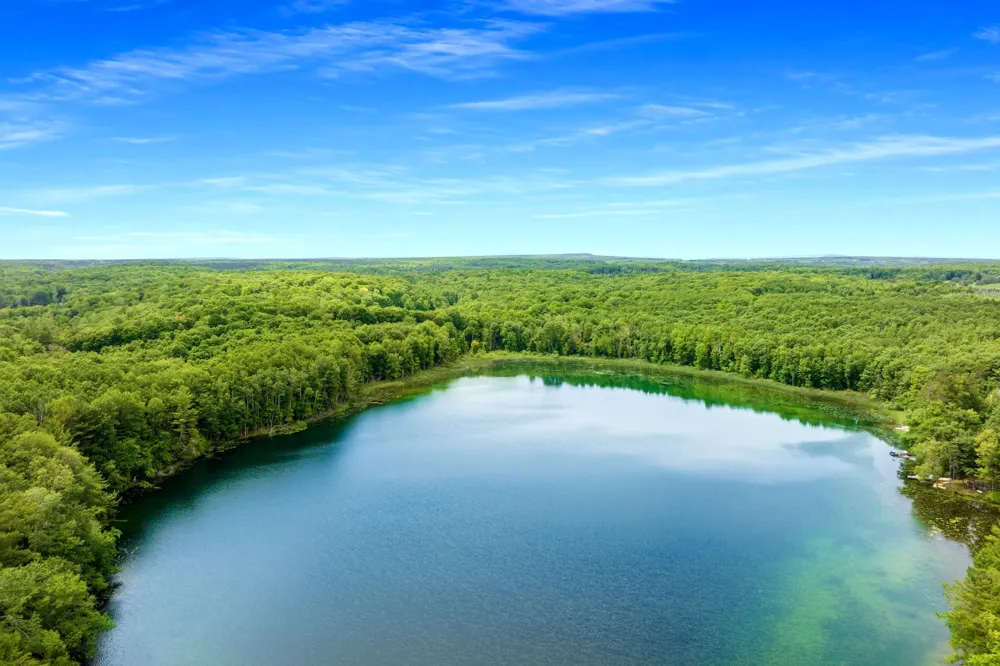 Pettengill Road Almira Township, MI 49630