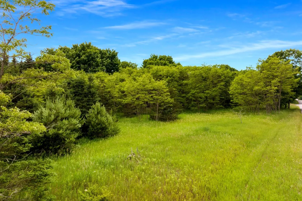 Pettengill Road Almira Township, MI 49630
