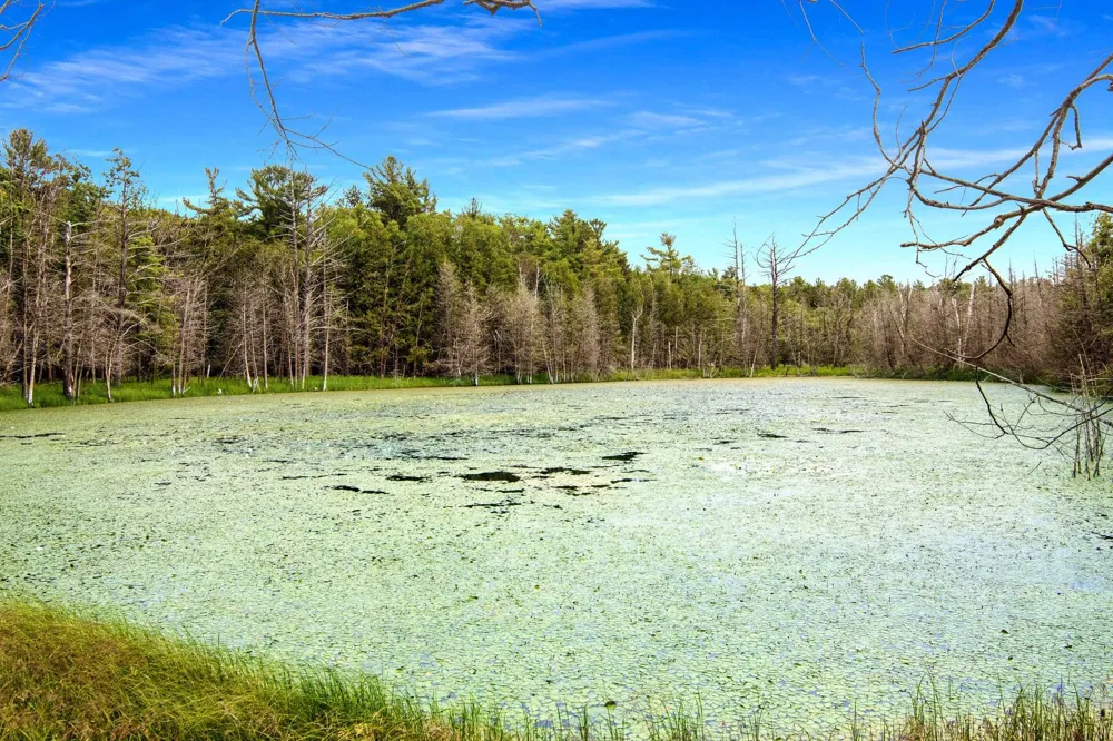 16043 Wagner Road Almira Township, MI 49630