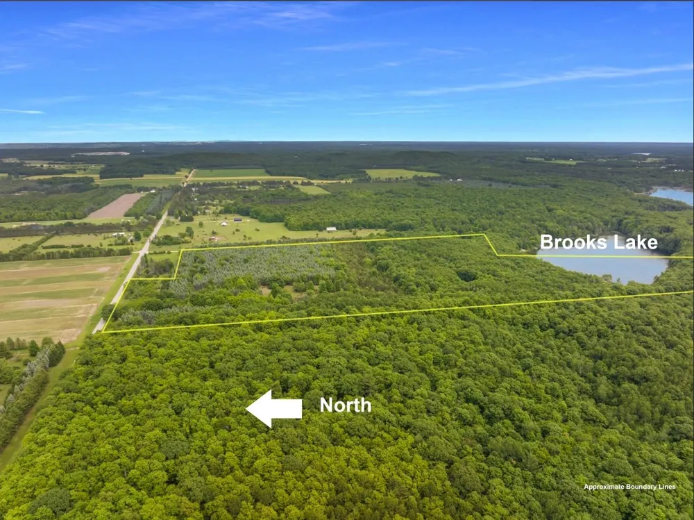 16043 Wagner Road Almira Township, MI 49630