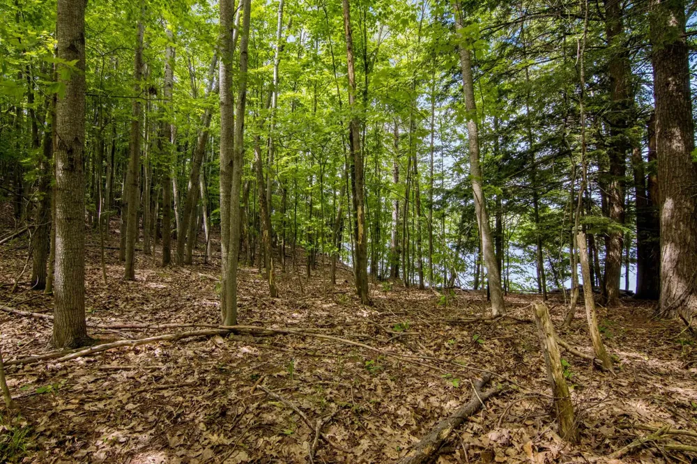 16043 Wagner Road Almira Township, MI 49630