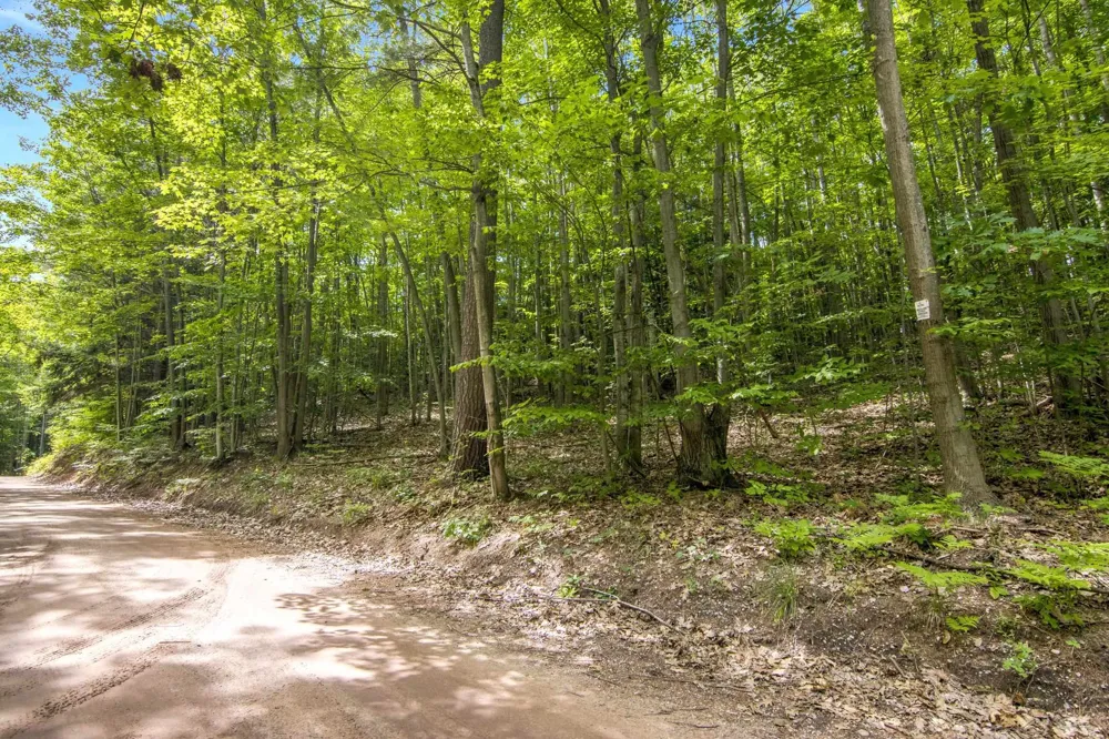 16043 Wagner Road Almira Township, MI 49630
