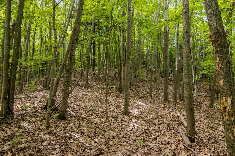 16043 Wagner Road Almira Township, MI 49630