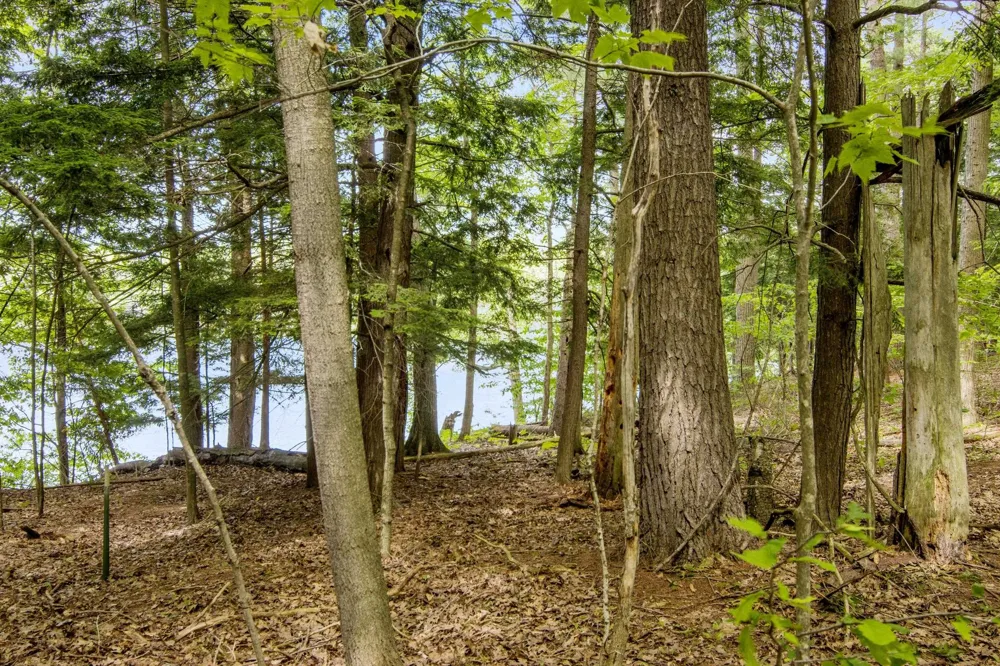 16043 Wagner Road Almira Township, MI 49630