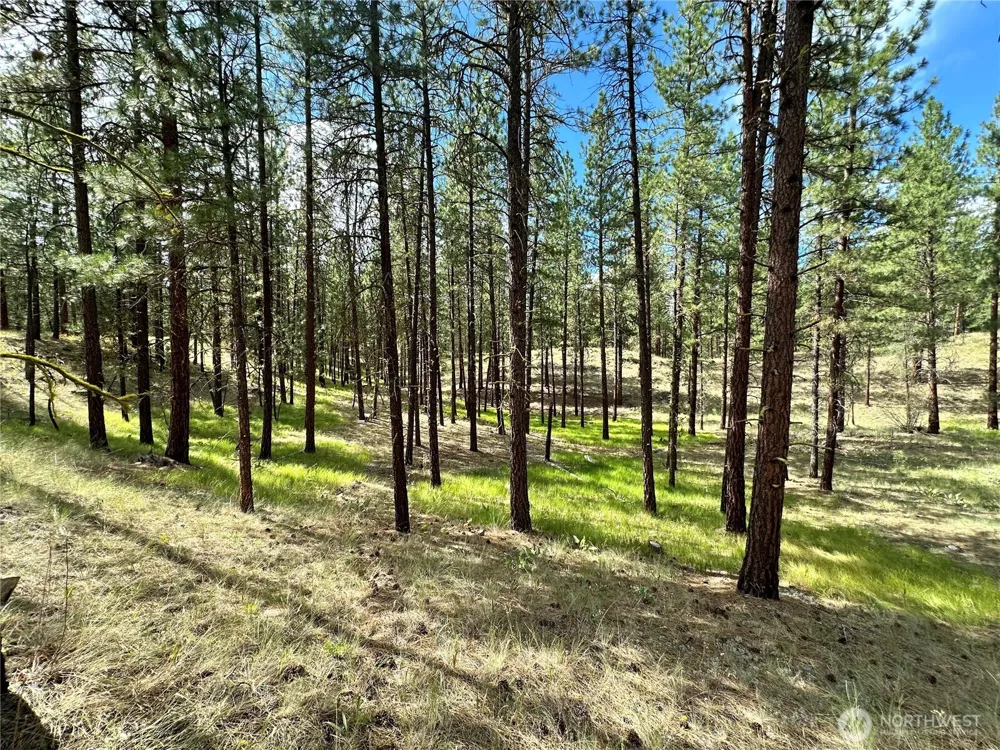 67 Larkspur Drive Winthrop, WA 98862