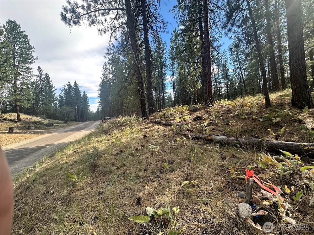67 Larkspur Drive Winthrop, WA 98862