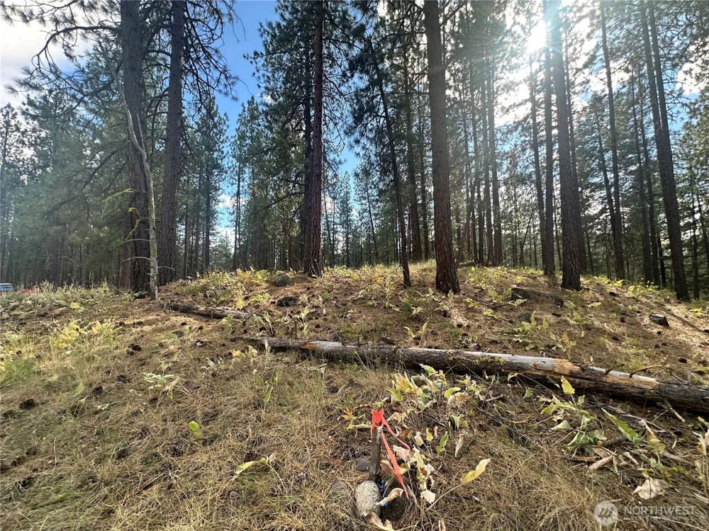 67 Larkspur Drive Winthrop, WA 98862