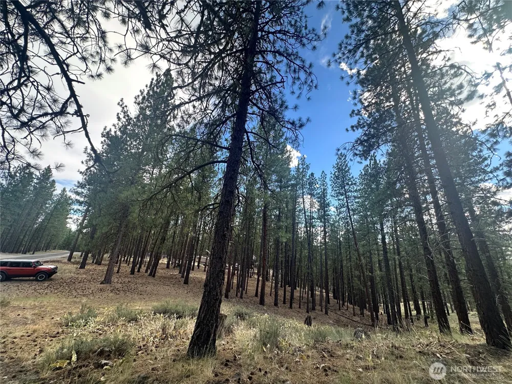 67 Larkspur Drive Winthrop, WA 98862