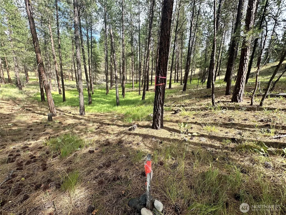 67 Larkspur Drive Winthrop, WA 98862
