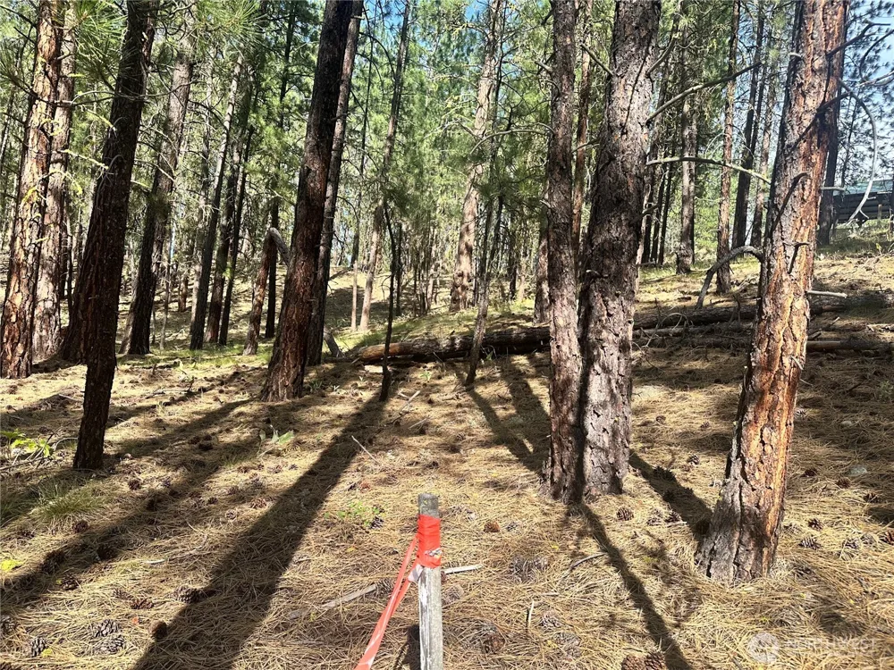 67 Larkspur Drive Winthrop, WA 98862