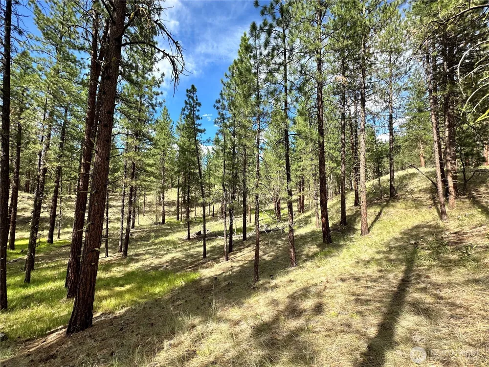 67 Larkspur Drive Winthrop, WA 98862