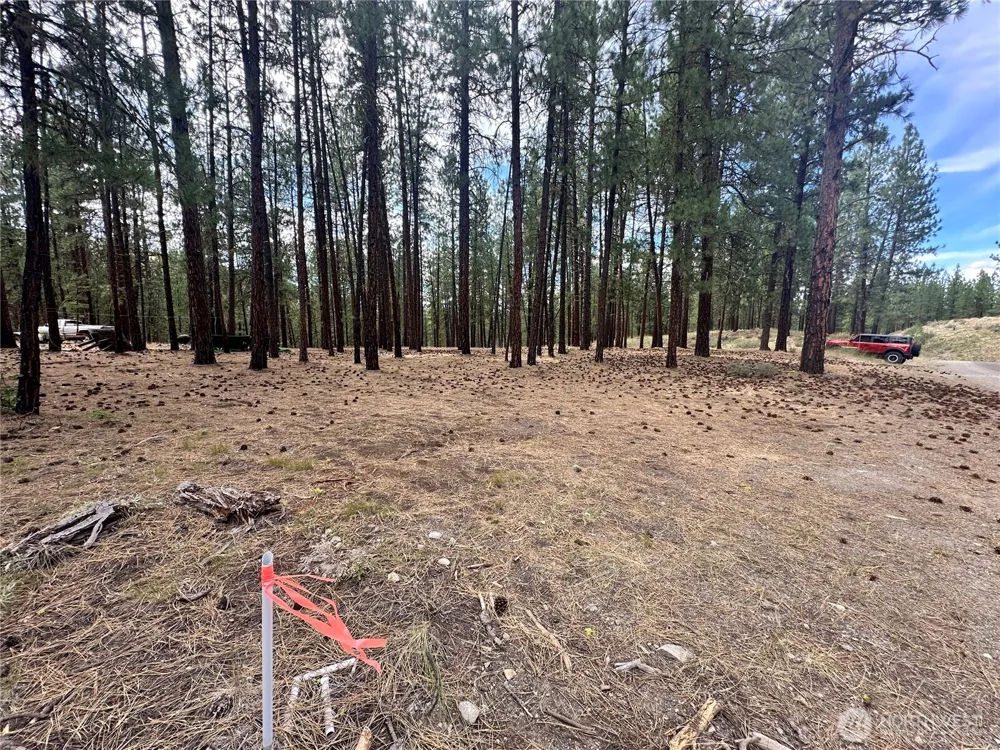 67 Larkspur Drive Winthrop, WA 98862