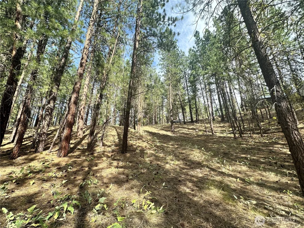 67 Larkspur Drive Winthrop, WA 98862
