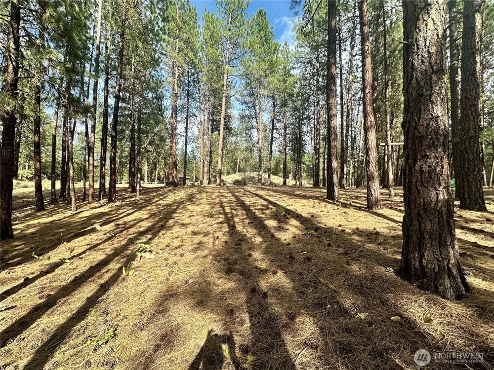 67 Larkspur Drive Winthrop, WA 98862