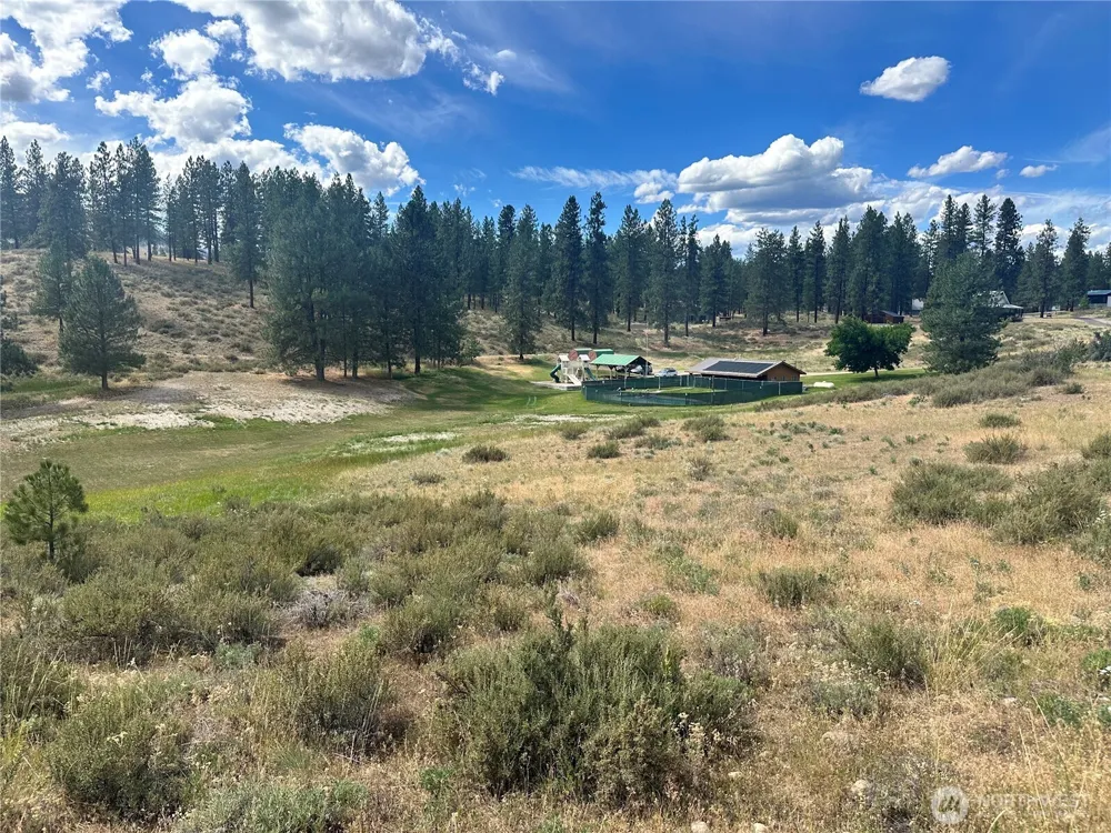 67 Larkspur Drive Winthrop, WA 98862