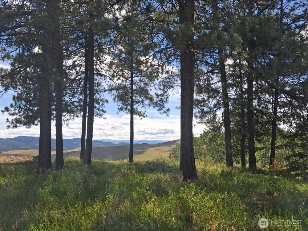 1 Fletcher/Rd 225 Road Oroville, WA 98840