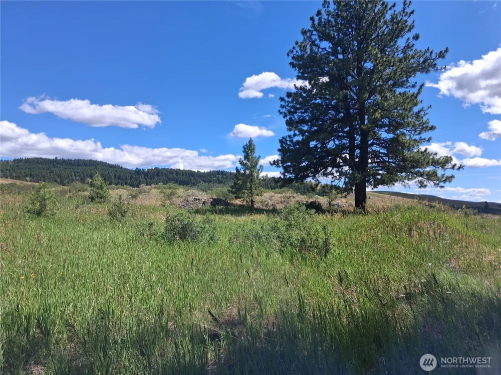 1 Fletcher/Rd 225 Road Oroville, WA 98840